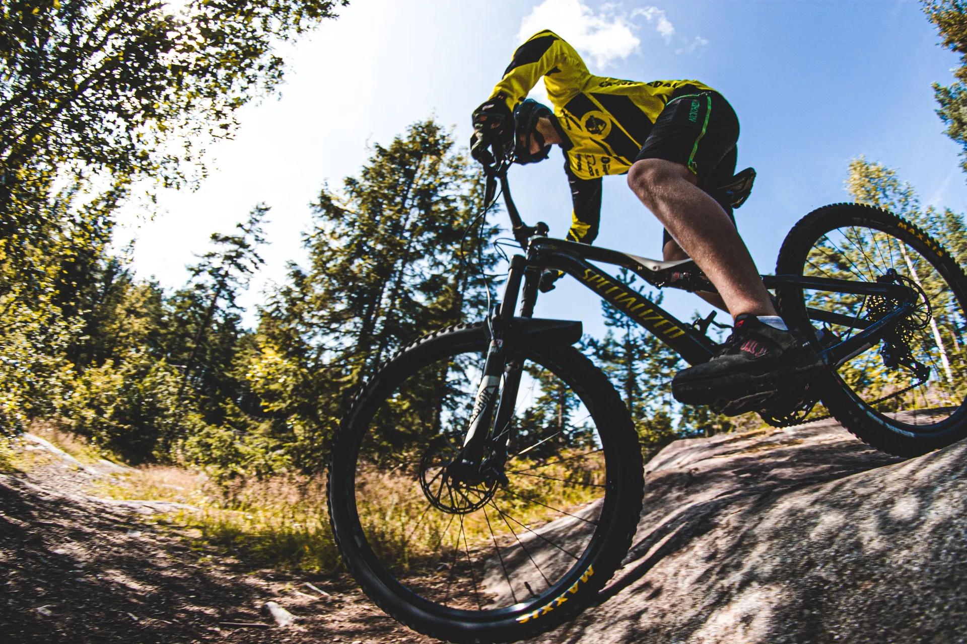 Image of Mountain biking